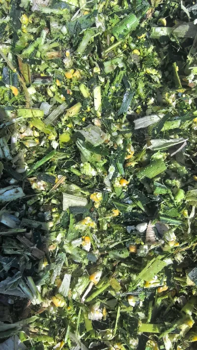 Với những thách thức thường xuyên xảy ra trong quá trình bảo quản và vận chuyển sản phẩm tươi toàn cầu, làm cách nào chúng ta có thể duy trì chất lượng tươi ngon từ đầu đến cuối của bắp cải tròn từ Yiman Agricultural?