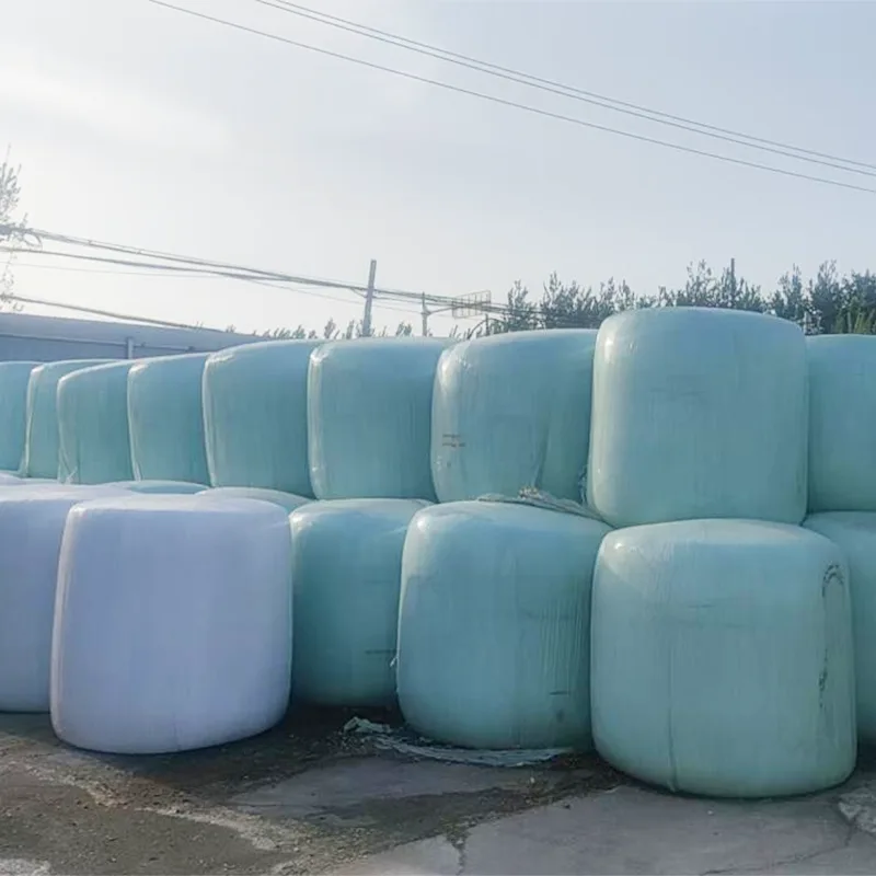 Ngô ủ chua đóng kiện kín khí