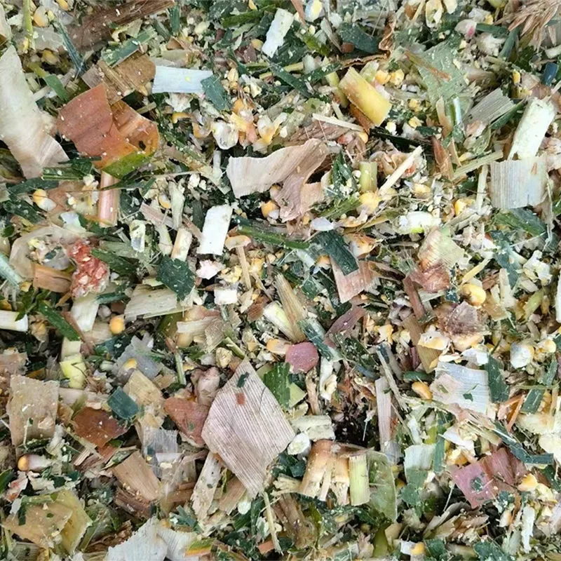 Thức ăn hỗn hợp ngô ủ chua